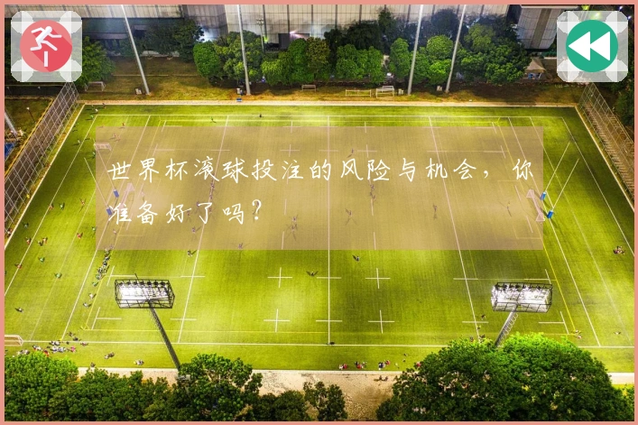世界杯滚球投注的风险与机会，你准备好了吗？