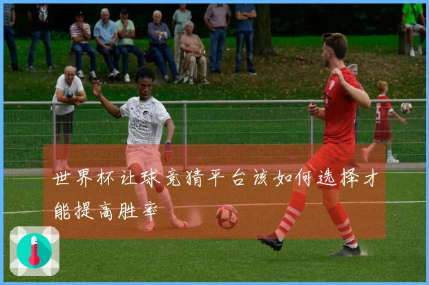 世界杯让球竞猜平台该如何选择才能提高胜率