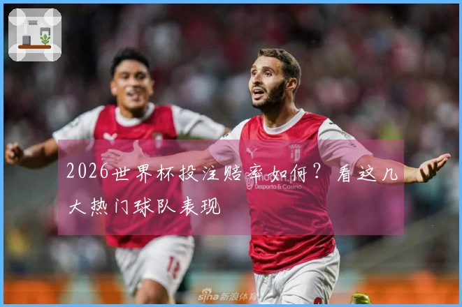 2026世界杯投注赔率如何？看这几大热门球队表现