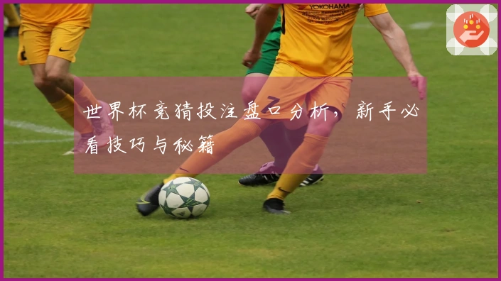世界杯竞猜投注盘口分析，新手必看技巧与秘籍